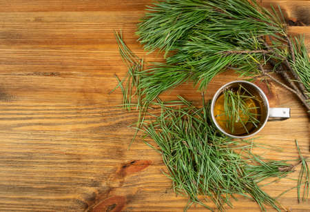 Pine needles tea in metal camping mug top view with copy space. Healthy winter beverage, pine tree needles tea. Medicine scurvy, source of vitamin C and caroteneの写真素材