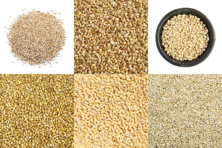 Dry Pearl Barley Grains Food Collage. Various Pearl Barley Texture Cereals Collection, Mix, Assortmentの写真素材