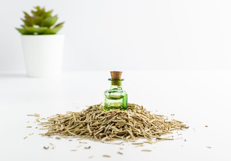 Rosemary essential oil in small vintage bottle mockup. Heap of dry rosemary leaves and organic oil...