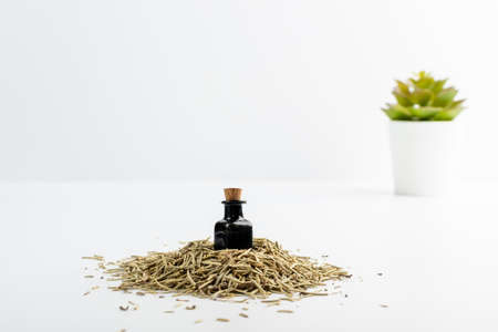 Rosemary essential oil in small vintage bottle mockup. Heap of dry rosemary leaves and organic oil in medicine jar. Herbs essence, tincture, extract or infusion on white backgroundの写真素材