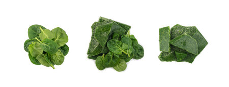 Frozen Spinach Set Isolated on White Background. Frosty Icy Green Vegetable Collection