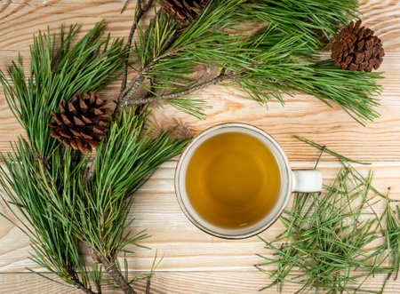 Pine needles tea in white cup top view. Healthy winter beverage in camping, pine tree needles tea in mug. Medicine scurvy, source of vitamin C and caroteneの写真素材