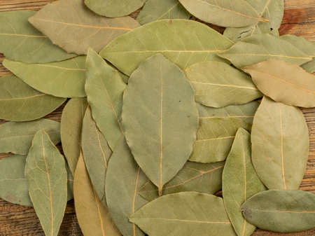 Dry bay leaves set isolated on white background. Dried laurel leaf seasoning collection top viewの写真素材