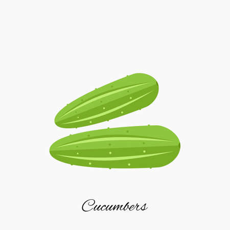 Cucumber isolated on white background. Gherkin vector icon in flat style, simple vegetable symbol, sign, silhouetteのイラスト素材