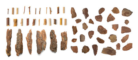 Pine, Cedar or Oak Tree Bark Pieces Set Isolated on White Background. Natural Broken Wooden Garden...
