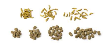 Dry rodent food pellets for mouse, rabbit or degu isolated on white background top view. Balanced hamster feed granules, extruded food collectionの写真素材