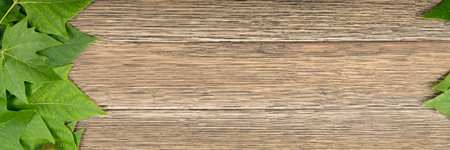 Green Lush Natural Background of Sycamore Leaves. Maple Leaves Frame Flat Lay. Beautiful Garden Foliage Texture or Leaf Pattern on Wooden Backdrop Top Viewの写真素材