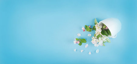 Beautiful early spring garden flower background with blossoming light pink apple flowers flat lay...