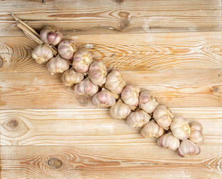 A Large Bunch of Garlic on Wood Table. Whole Tied Garlic Cloves on Wooden Rustic Background Top Viewの写真素材