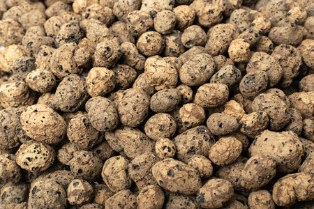 Expanded clay or exclay texture background. Lightweight expanded clay aggregate, LECA, haydite, hydrokorrels, hydroton top viewの写真素材