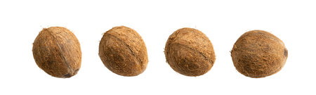Whole coconut set isolated. Fresh brown cocos on white background, sweet single coco nut collectionの写真素材
