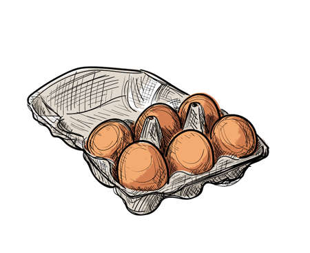 Sycamore autumn leaf isolated. Platanus brown foliage, big sycamore leaves on white background top view, vector illustrationのイラスト素材