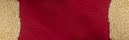 Quinoa Seeds on Red Background with Copy Space. Dry Organic Chenopodium Quinoa, Kinwa or Kinuwa Grains Purple Texture Pattern Top Viewの写真素材