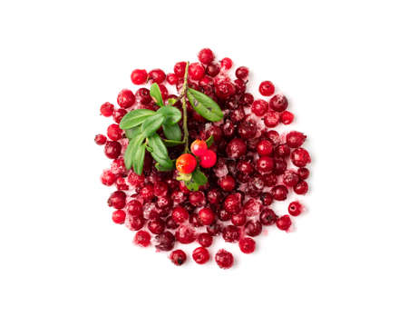 Frozen cowberry isolated. Iced lingonberry pile, frosty red berries, frozen whortleberry heap, mountain cranberry, partridgeberry, frosted bearberries on white background top viewの写真素材