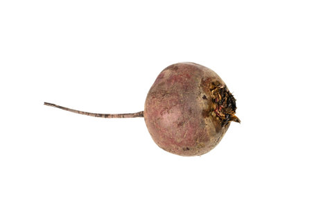Whole beet roots isolated. Beetroot, red beets, raw beet root on white background