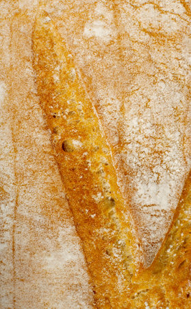 Bread Crust Texture Background Closeup. Golden Bread Loaf Surface Background Mockup with Copy Space