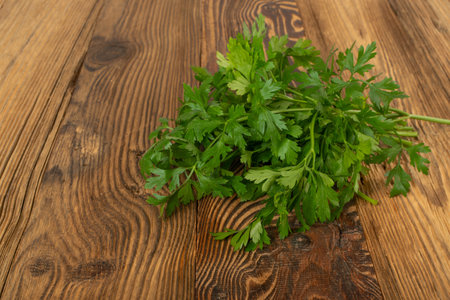 Parsley Bunch on Old Wooden Texture Background. Cilantro Leaves, Raw Garden Parsley Twigs, Chervil Sprigs, Corriender Leaves on Dark Brown Wood Grain Table Desk Top Viewの写真素材