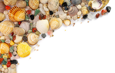 Sea Shell Frame, Multicolored Seashells Border, Clam Mollusc Shells Pattern with Copy Space, Natural...