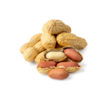 Peanuts Isolated, Roasted Arachis Nuts, Open Pea Nut, Whole Groundnut with Shell, Macro Peanut Set...
