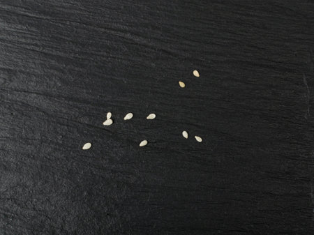 Scattered Sesame Seeds, White Sesamum Grains, Healthy Diet Garnish, Sesame Seeds on Black Stone Background Top Viewの写真素材