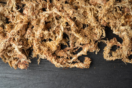 Dry Sphagnum Moss Texture Background, Ecology Gardening Soil, Plant Moisture, Natural Antibiotic, Eco Supplement for Indoor Flowers, Sphagnum Moss Closeupの写真素材