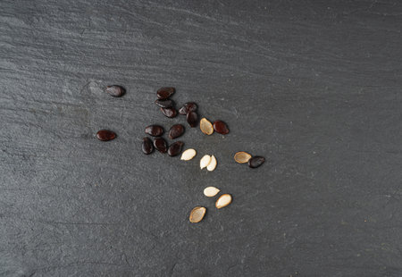 Watermelon Seeds on Black, Water Melon Black Seed Pile, Small Black Kernels, Raw Scattered Watermelon Seeds on Dark Stone Plate Backgroundの写真素材