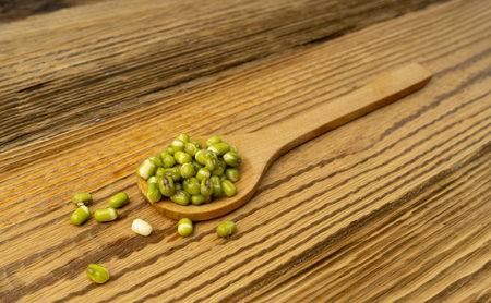Soaked Mung Beans, Wet Vigna Radiata Seeds Pile, Macro Photo of Green Gram in Water, Raw Mung Beans,...