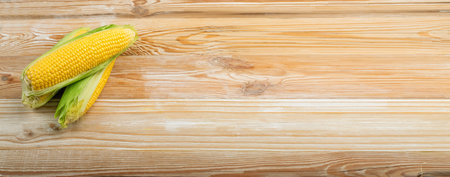 Sweet corn cob pile on wooden table with copy space. Maize ears group, autumn sweetcorn, corncob...