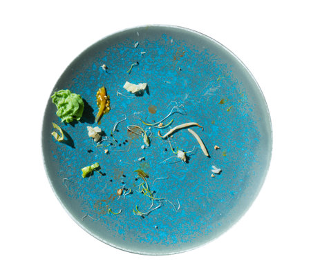 Dirty Plate Isolated, Empty Bowl after Sushi Dinner, Finished Lunch, Salad and Wasabi Sauce on Blue Plate Background Top Viewの写真素材