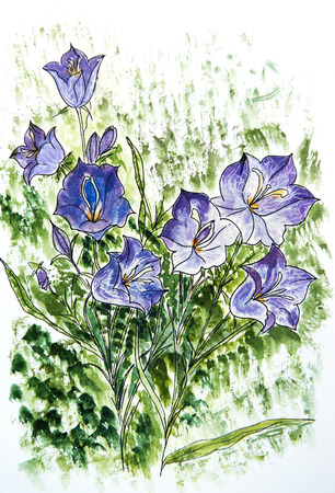 Flower cardのeditorial素材
