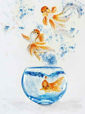 Goldfishのeditorial素材