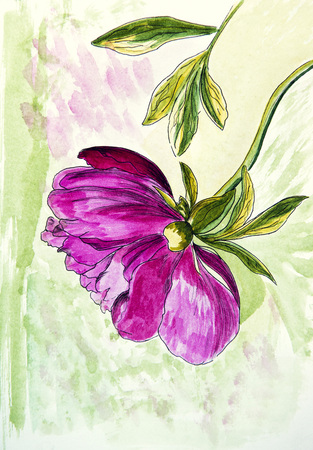 Flowerのeditorial素材