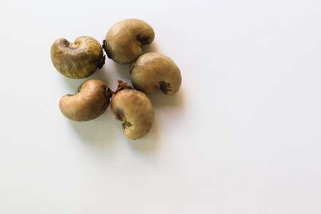 Cashew nut, Anacardium occidentale, old fruits with copy space isolated on white background closeup.の写真素材