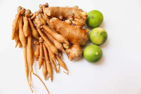 Fresh Kaempferia, galanga tuber, and lemons, herb vegetables isolated on white background closeup.の写真素材