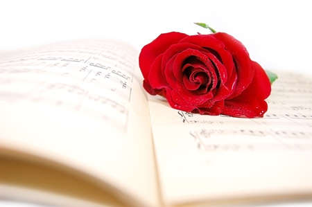 Red rose on music sheetの写真素材