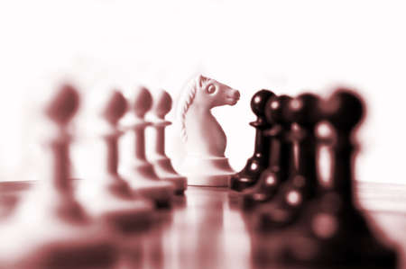 knight on chess board between pawns in lineの写真素材