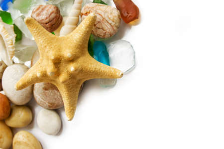 Assorted sea shells, star and stones over white with copy spaceの写真素材