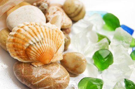 Assorted sea shells and stones over white