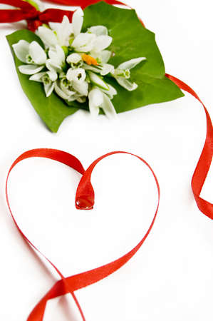 bouquet of snowdrops with twisted red ribbon in heart shapeの写真素材