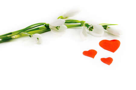 Snowdrops and red hearts over whiteの写真素材