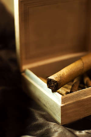 big cigar in wooden box over brownの写真素材