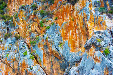 red rock texture with plants as backgroundの写真素材