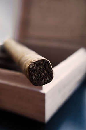 Cigar in a box, selective focusの写真素材