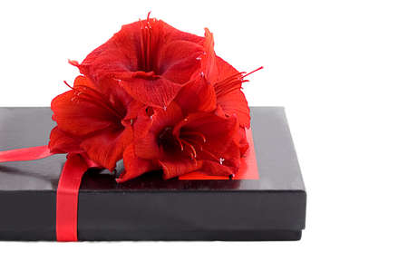 Black gift box with red flowers on whiteの写真素材