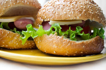 Two sandwiches on yellow plateの写真素材