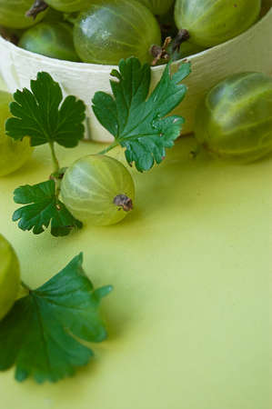 Gooseberries with leaves over green backの写真素材