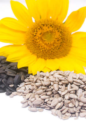Sunflower, black seeds andwhite kernelsの写真素材