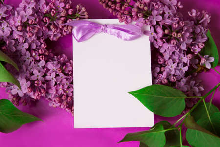 Purple lilac with invitation over violet backgroundの写真素材