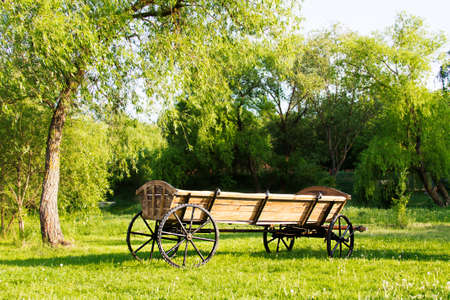 Lonely cart among green grass landscapeの写真素材