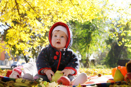 Cute baby girl sitting among autumn leavesの写真素材